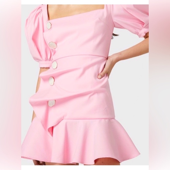 Atoir Ask Me to Stay Mini Dress in French Rose. Size 4. NWT’S - Picture 3 of 6